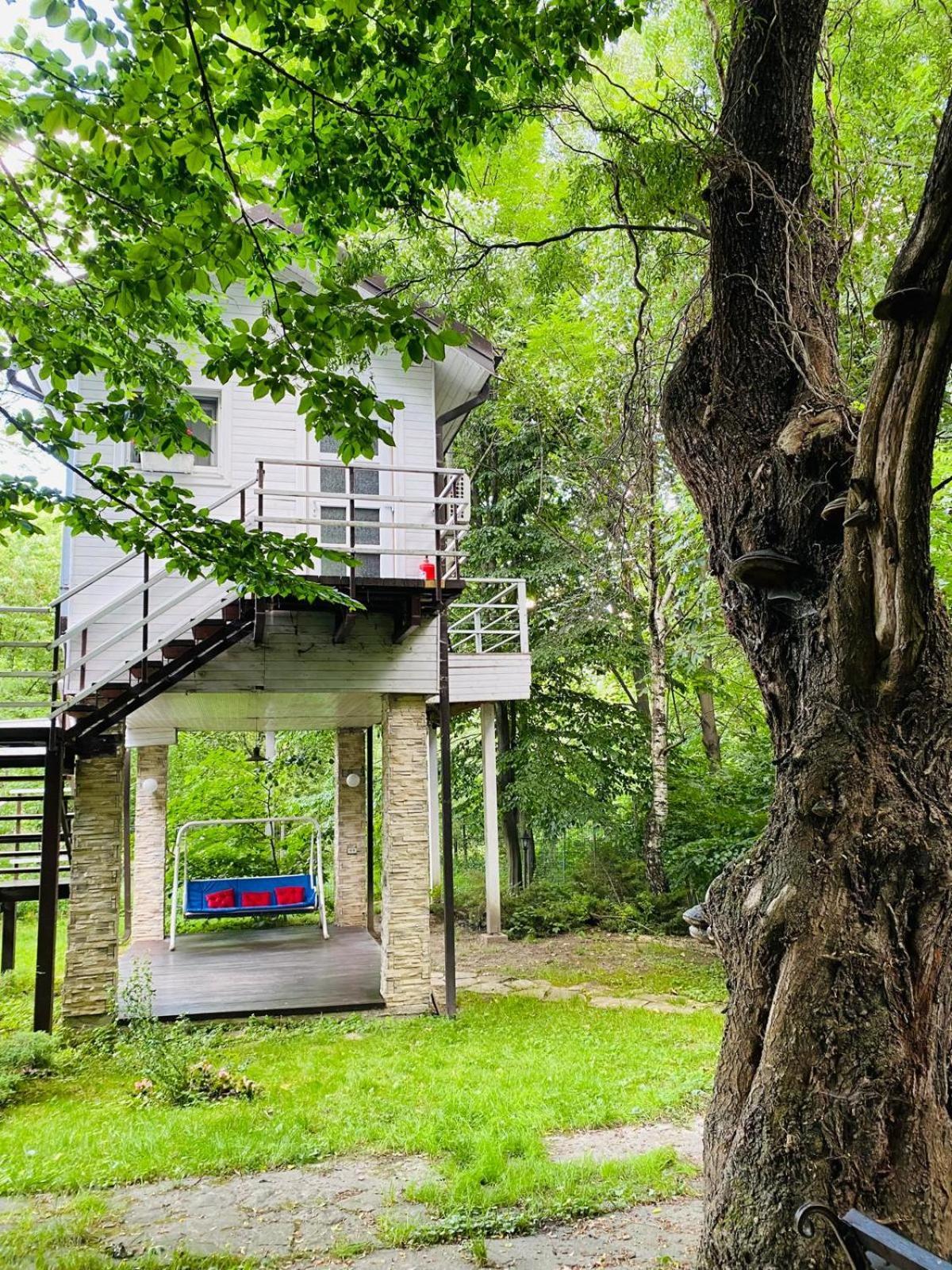 Rapsodia Pension Сучава Екстер'єр фото