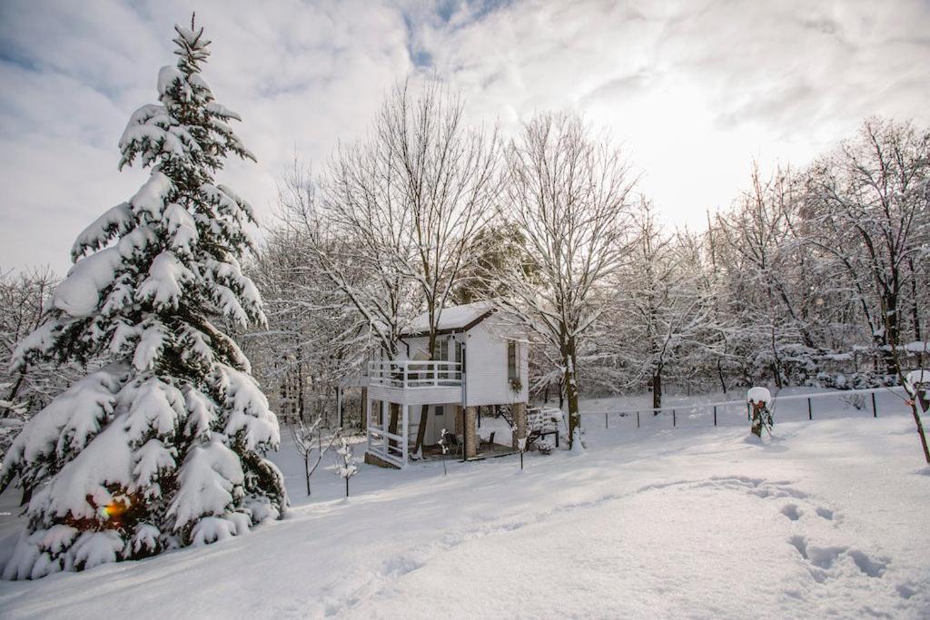 Rapsodia Pension Сучава Екстер'єр фото