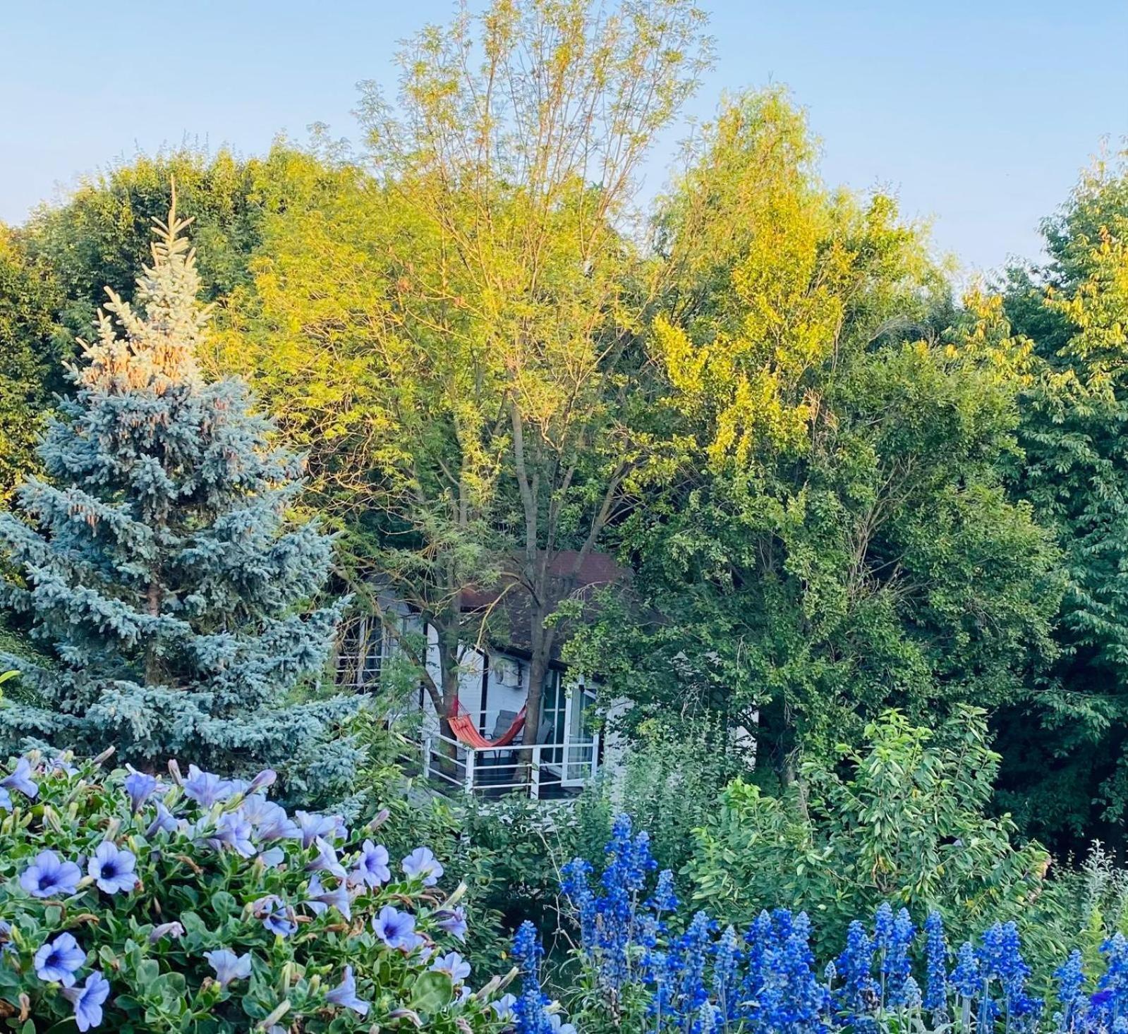 Rapsodia Pension Сучава Екстер'єр фото
