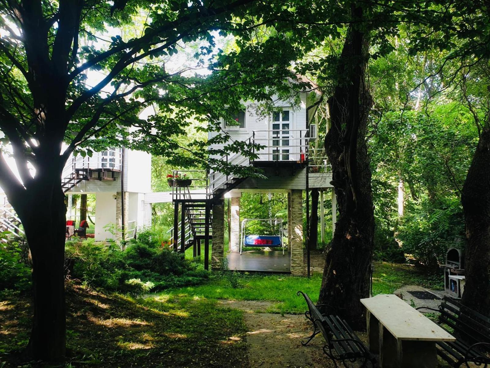 Rapsodia Pension Сучава Екстер'єр фото
