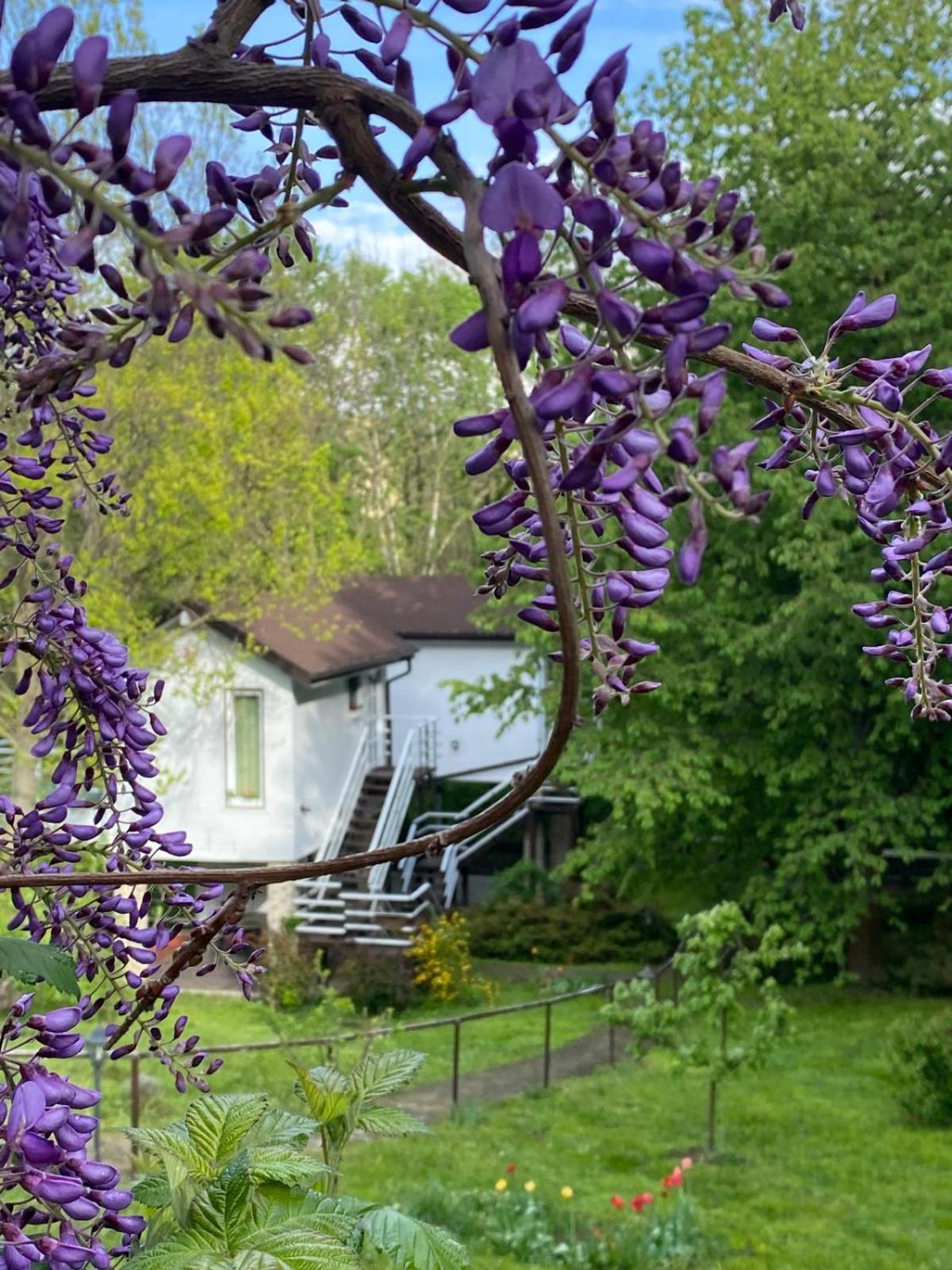 Rapsodia Pension Сучава Екстер'єр фото
