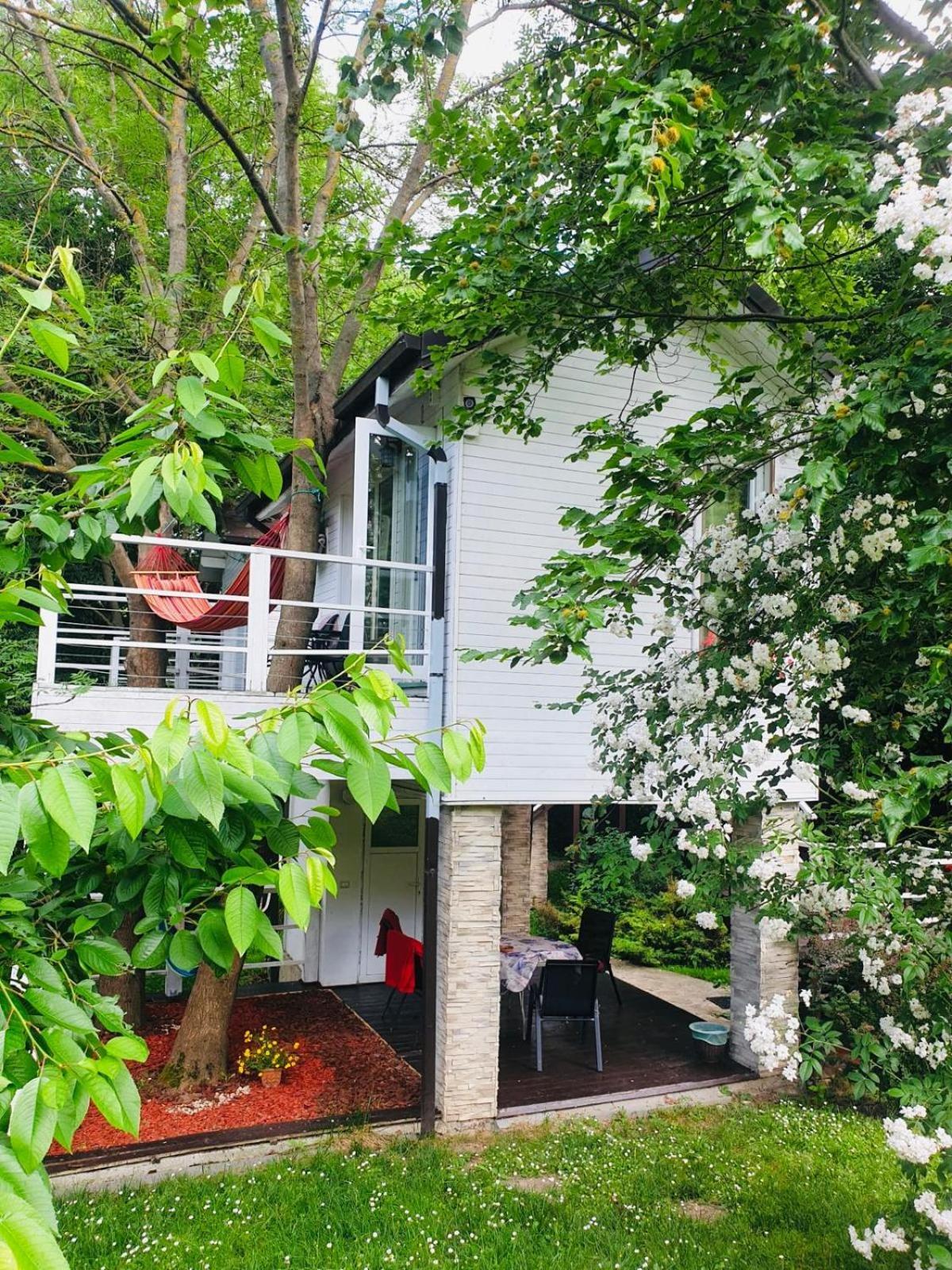 Rapsodia Pension Сучава Екстер'єр фото