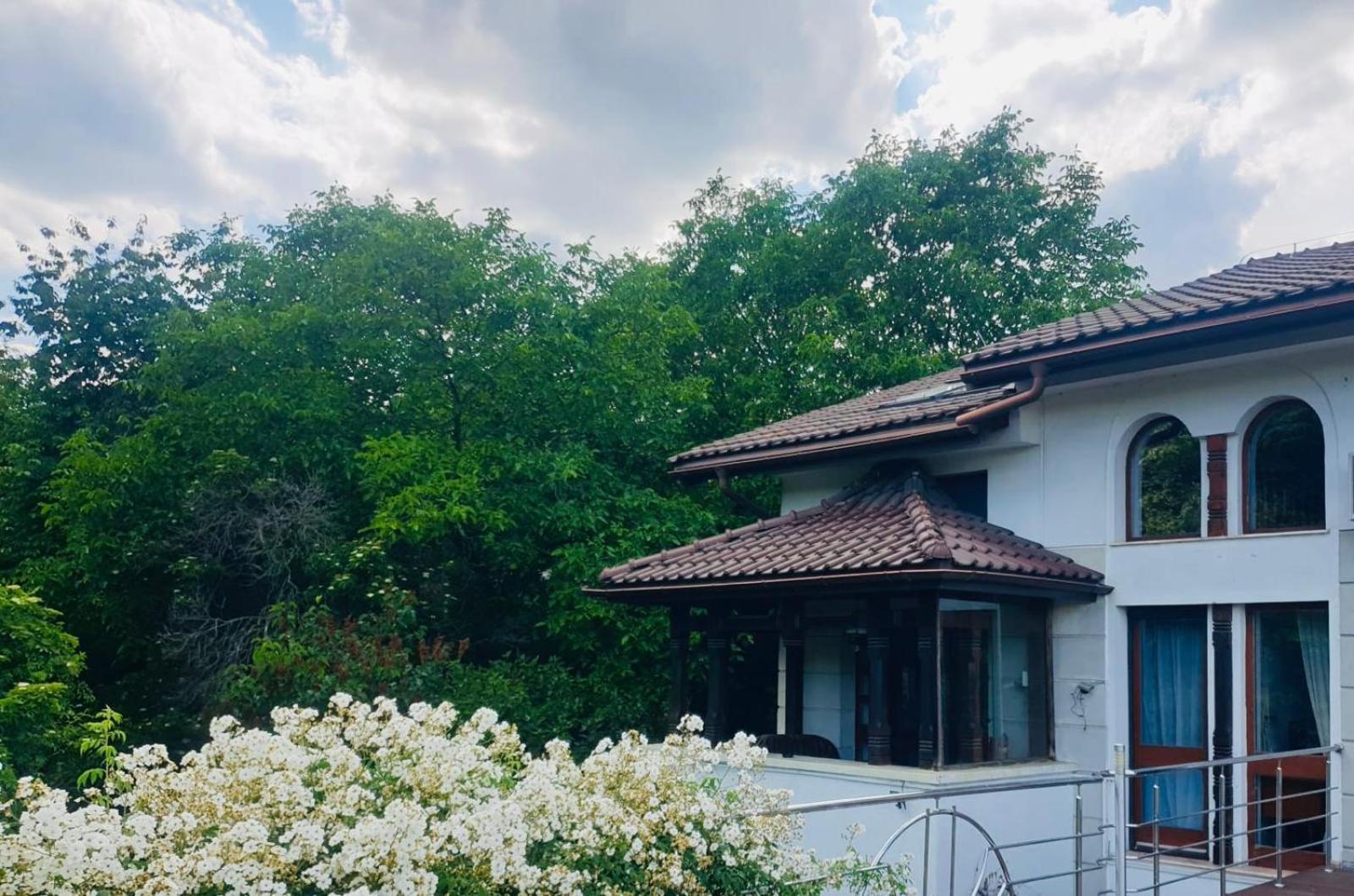 Rapsodia Pension Сучава Екстер'єр фото