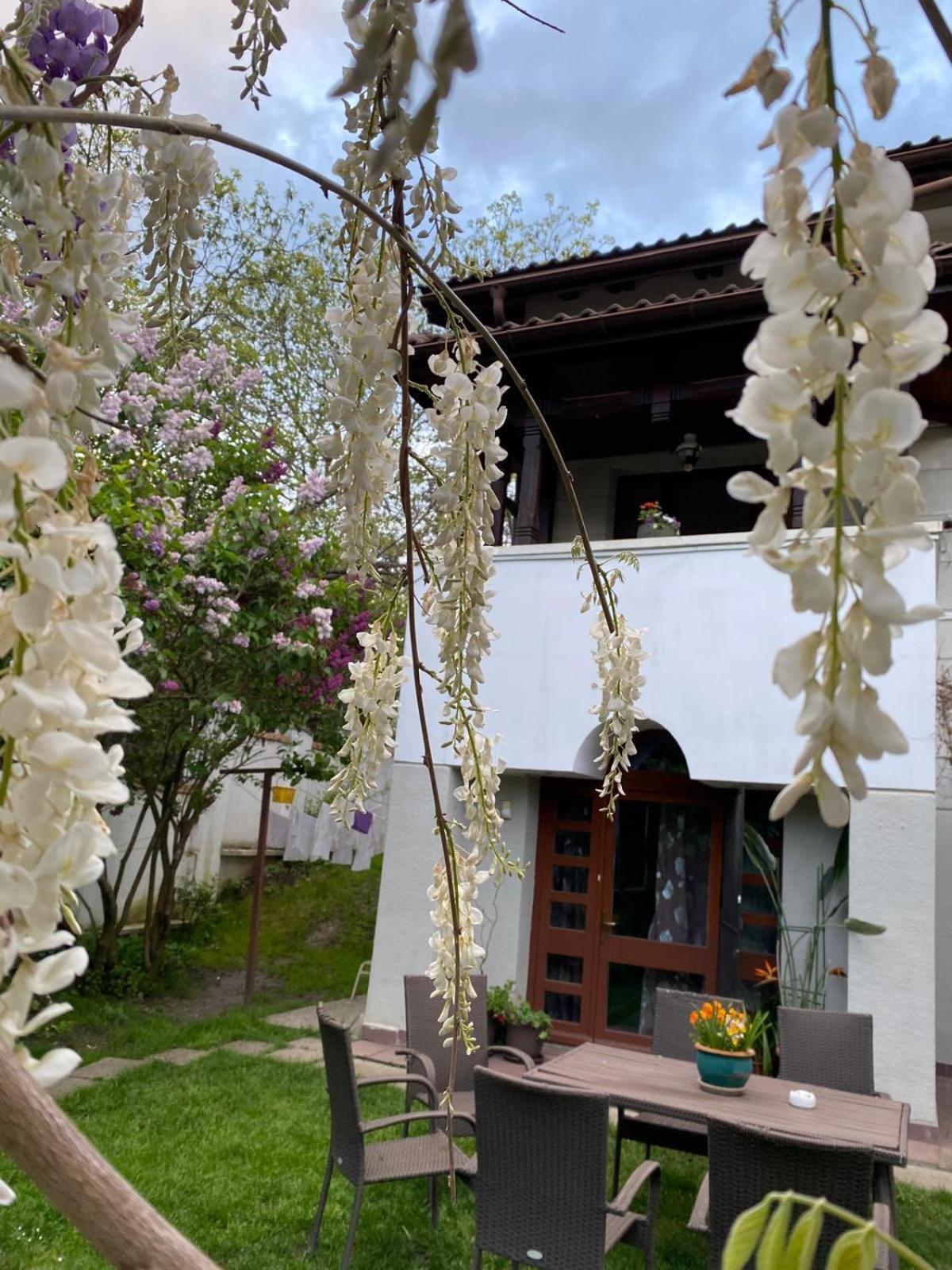 Rapsodia Pension Сучава Екстер'єр фото