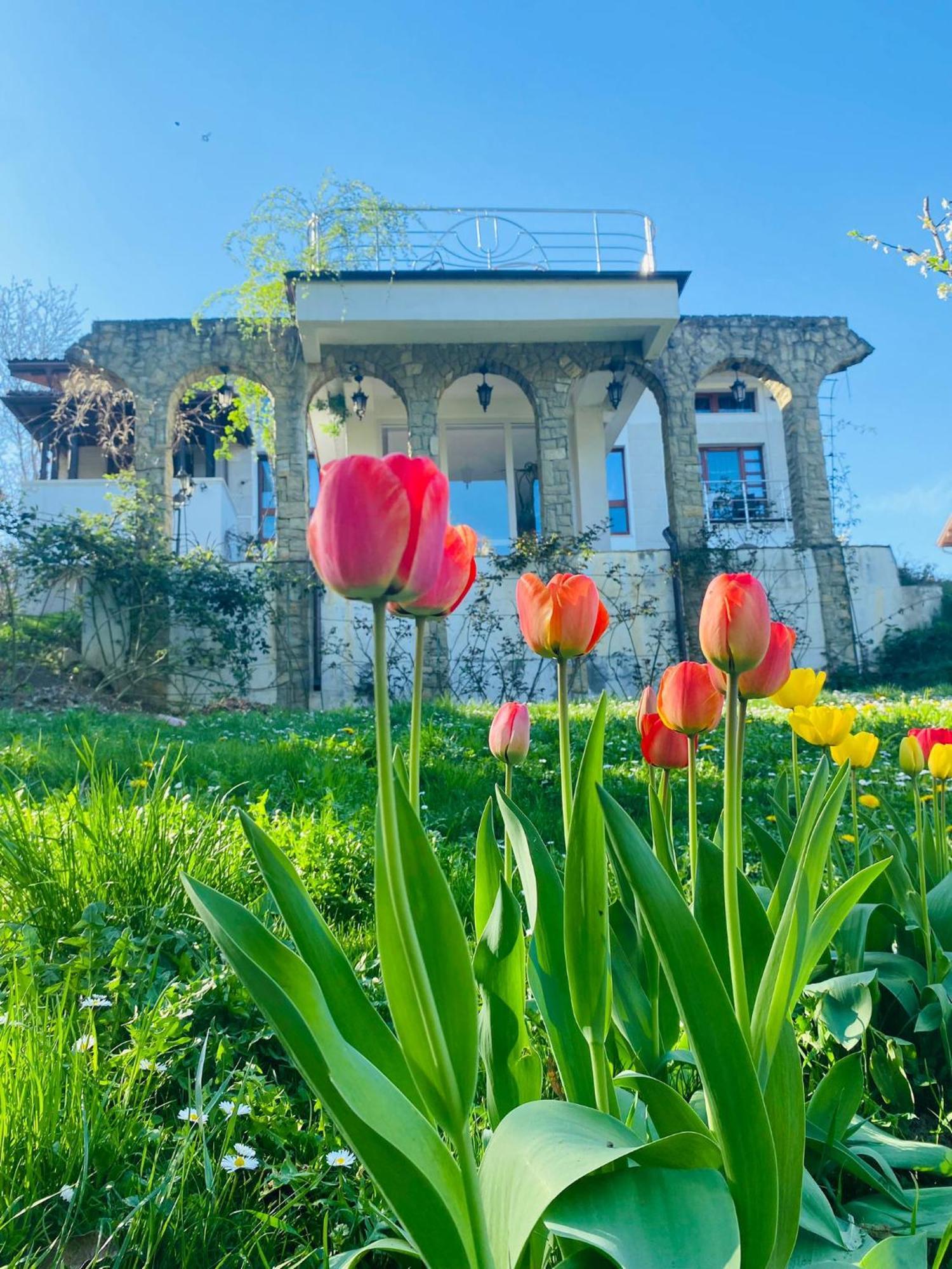 Rapsodia Pension Сучава Екстер'єр фото